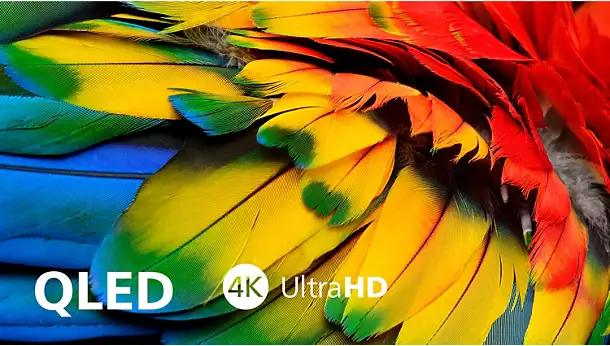 Philips 50" 4K QLED Roku Smart TV